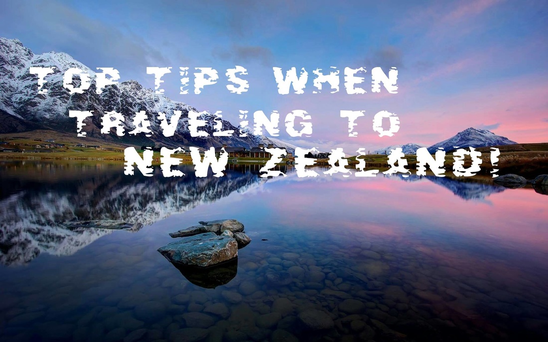 New Zealand Adventure it Out