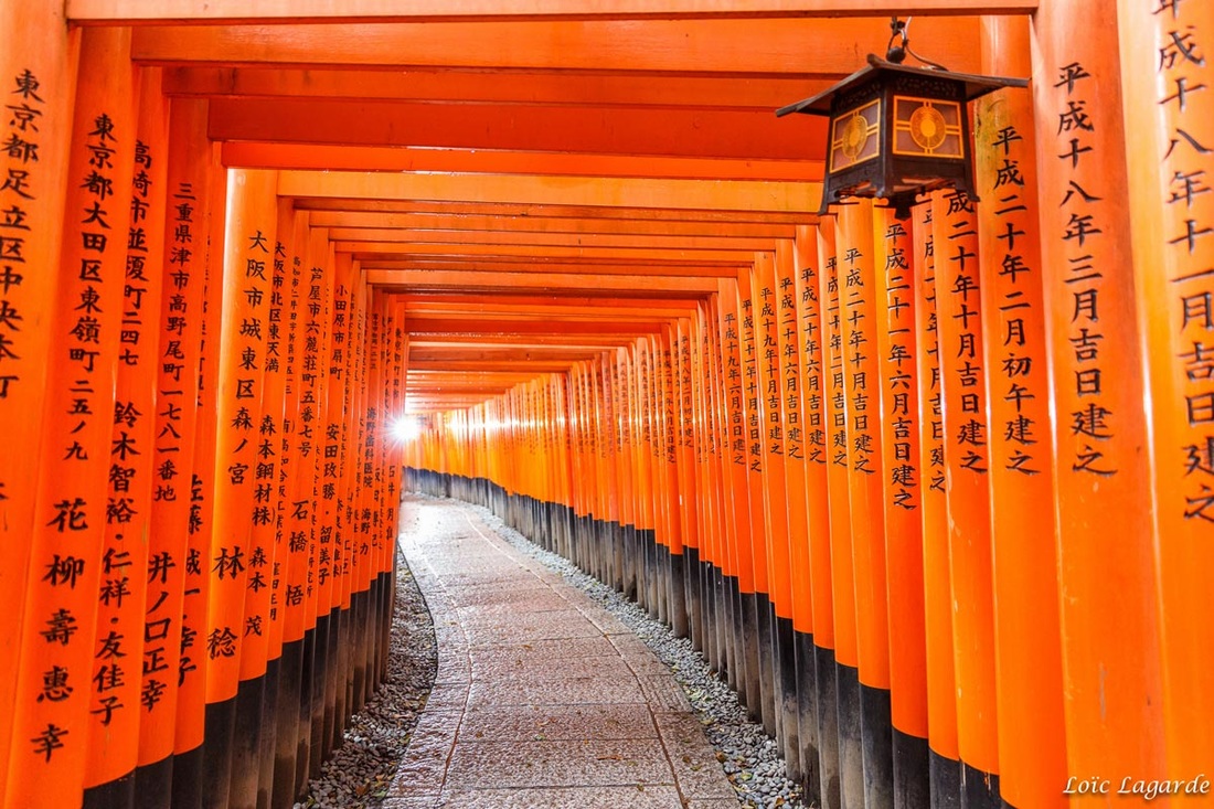 Fushimi Inari Adventure it out